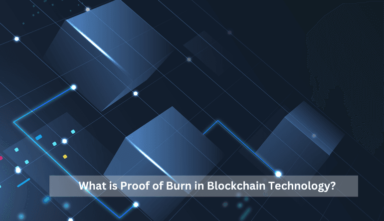 Exploring Proof of Burn in Blockchain Technology